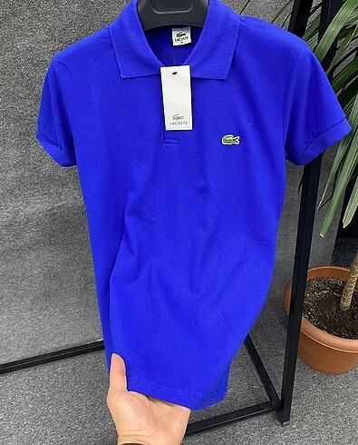 Polo yaka tişort