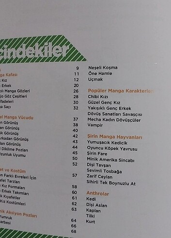 Manga Çizim kitabı