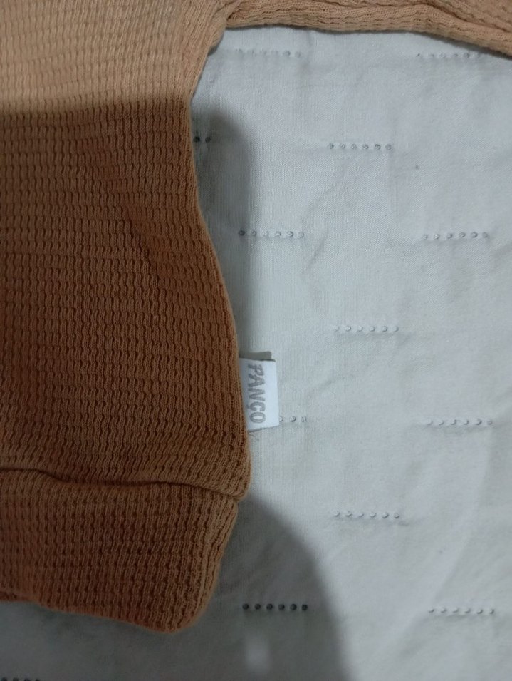 Panço Marka Bej Kapüşonlu Erkek Çocuk Sweatshirt - Görsel 3