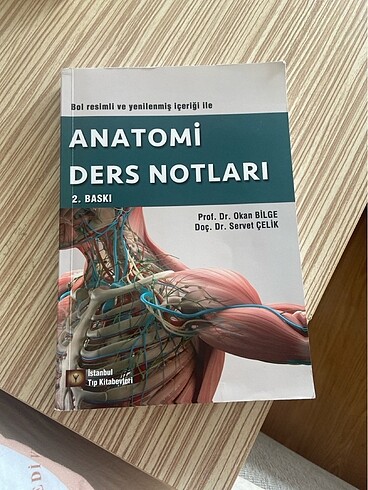 Anatomi ders notları