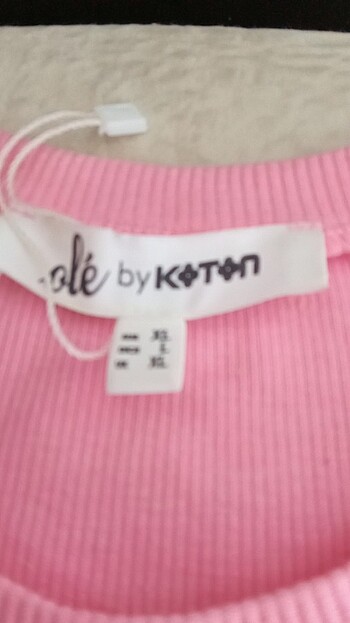 Koton Pembe Koton crop 