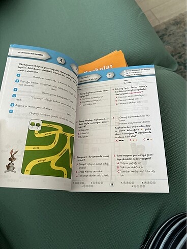 Aslan Kula mın ormanı - Görsel 2