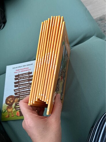 Aslan Kula mın ormanı - Görsel 4