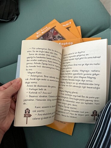 Aslan Kula mın ormanı - Görsel 7