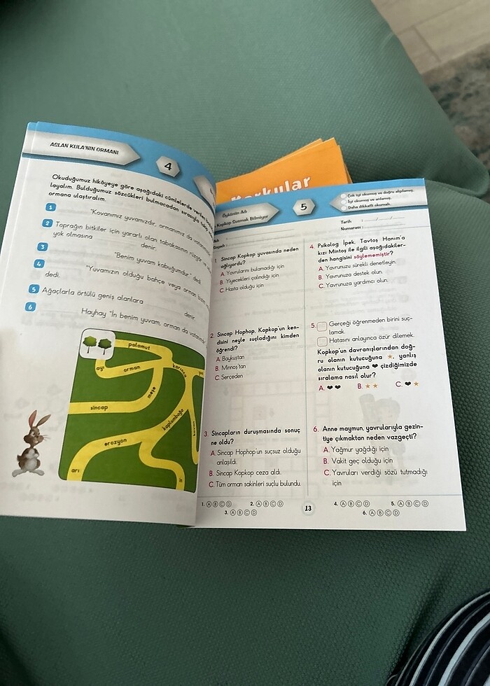 Aslan Kula mın ormanı - Görsel 2