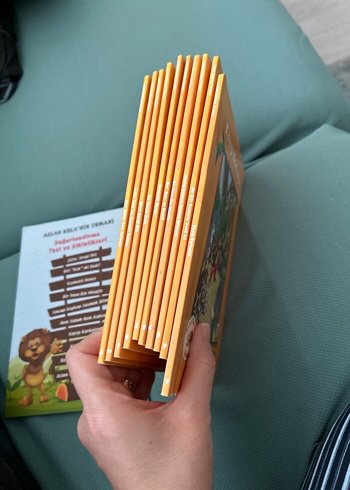 Aslan Kula mın ormanı - Görsel 4