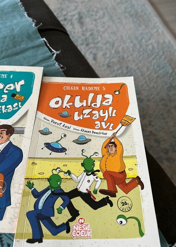 Çılgın hademe serisi - Görsel 2