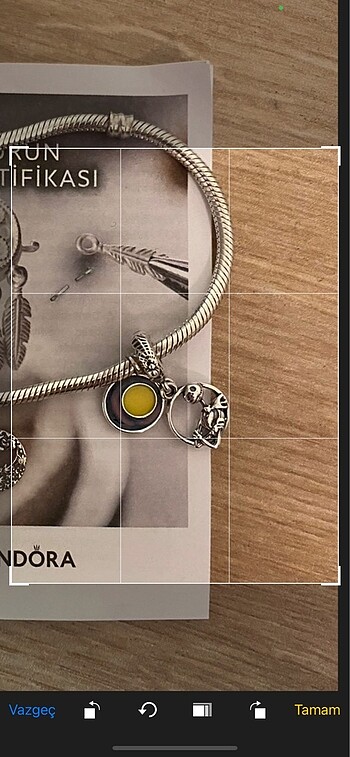 Pandora disney charm