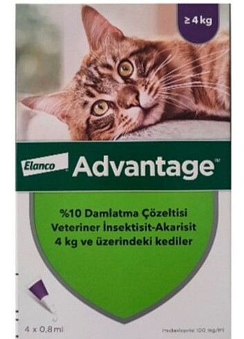 Dış parazit kedi