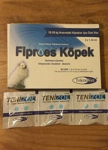 Köpek dış parazit iç parazit
