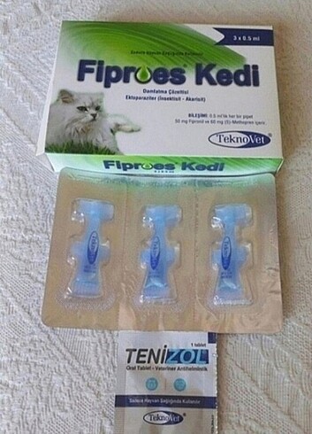 Kedi iç dış parazit