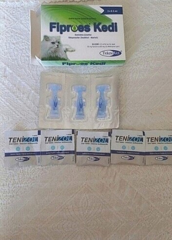 Kedi iç dış parazit