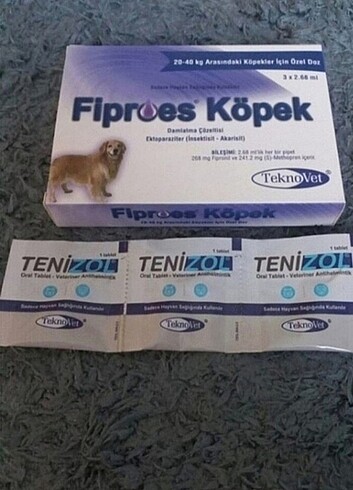 Köpek iç dış parazit