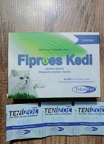 Kedi iç dış KAMPANYA