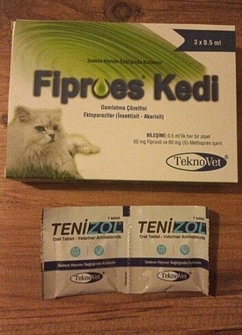 Kedi iç dış