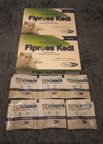 Kedi iç dış parazit