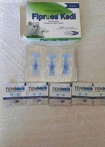 Kedi iç dış parazit