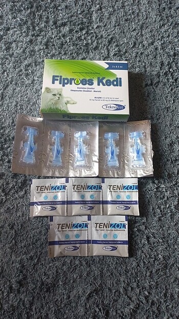 İç dış fiproes kedi