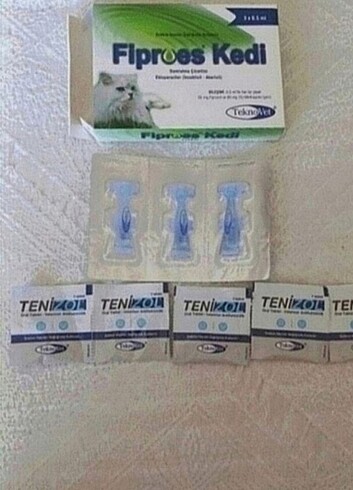 Kedi iç dış parazit