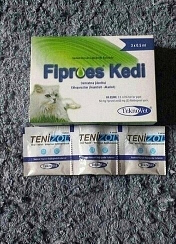 Kedi iç dış parazit