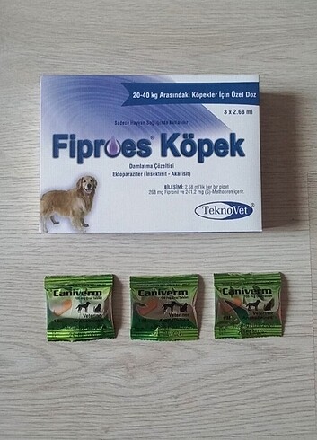 Köpek iç dış parazit