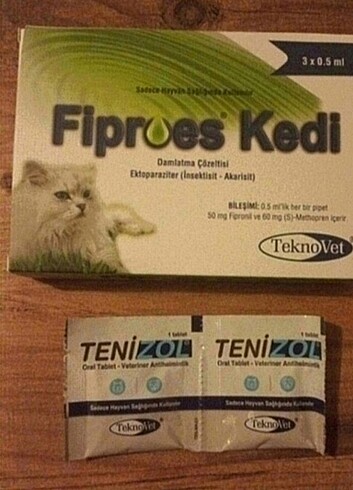 Kedi iç dış parazit