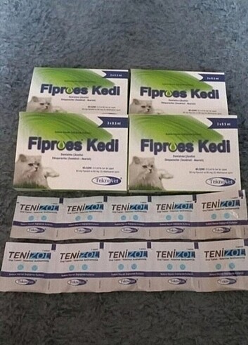 Kedi iç dış parazit