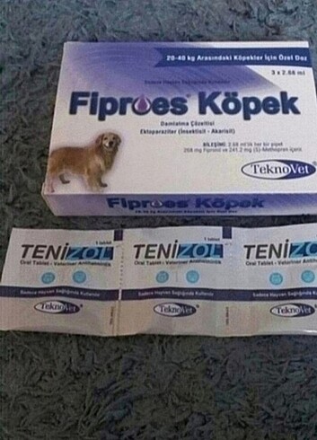 Köpek iç dış parazit