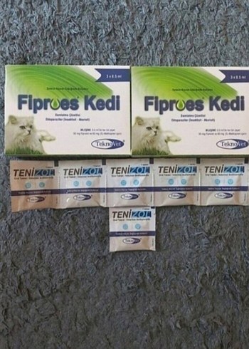 Kedi iç dış