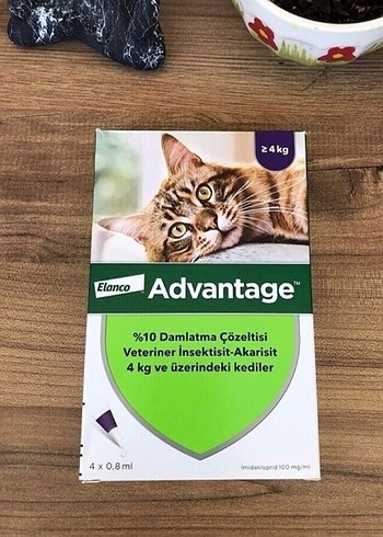 Bayer advantage kedi dış