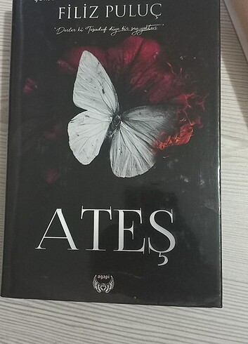  Ateş 