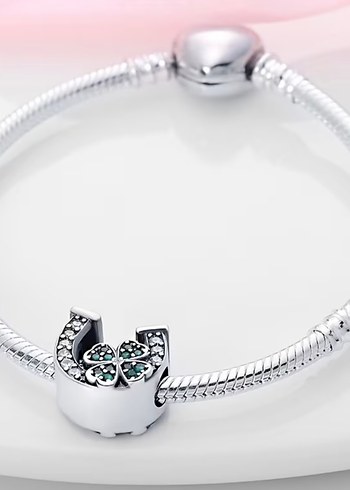 Yonca ve Nal Gümüş Charm - Görsel 5