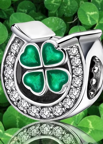 Yonca ve Nal Gümüş Charm - Görsel 2