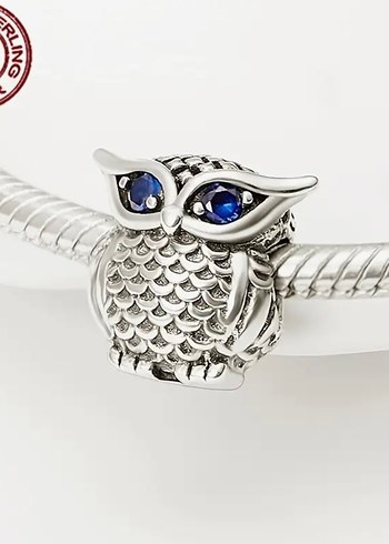 BAYKUŞ CHARM - Görsel 2