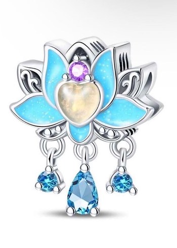 CHARM ÇEŞİTLERİ - Görsel 14