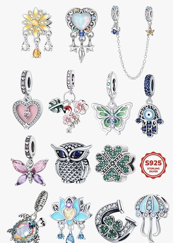 CHARM ÇEŞİTLERİ - Görsel 16