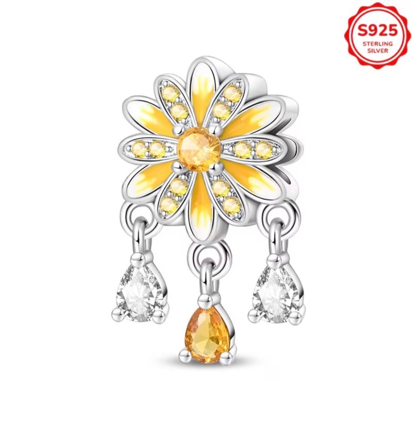 CHARM ÇEŞİTLERİ - Görsel 3