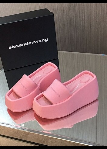 Alexander Wang terlik