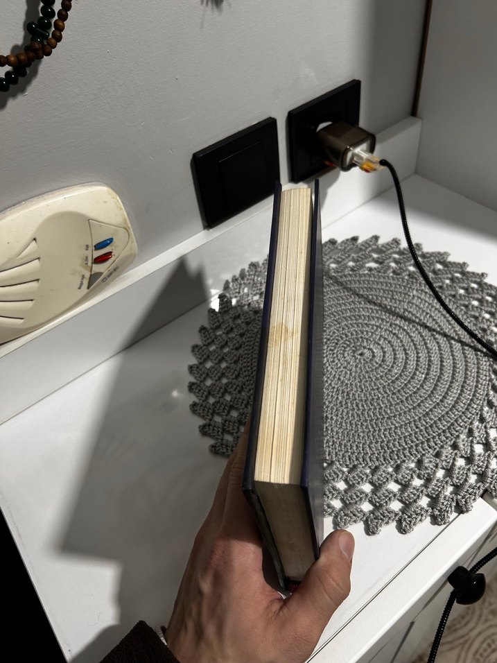 Aliya İzzetbegoviç Biyografi Kitabı - Görsel 2