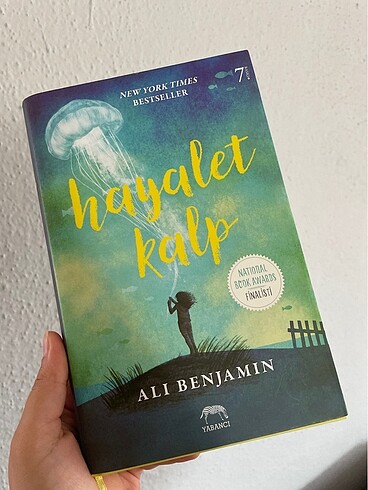 Hayalet kalp kitap