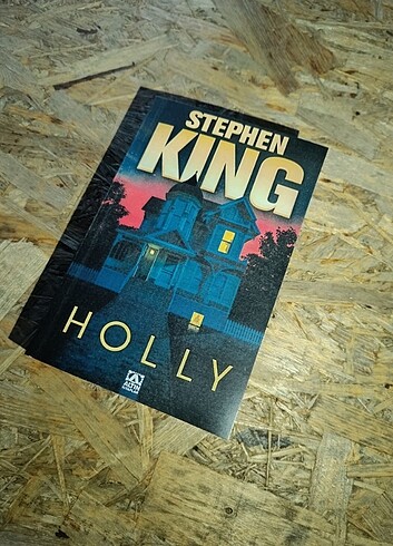 Stephen king Holly 