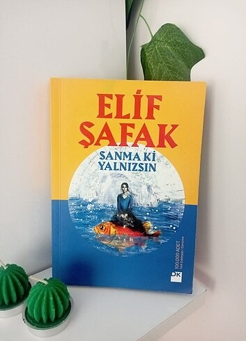 Sanma ki yalnızsın Elif şafak