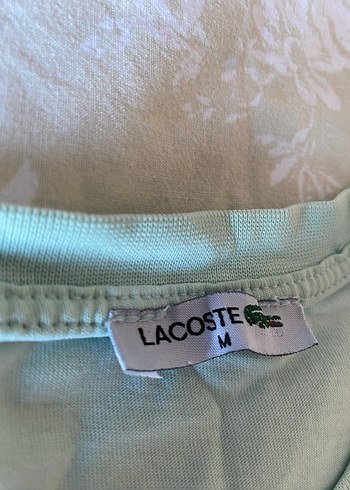 Erkek Mavi Kısa Kollu Tişört - Görsel 2