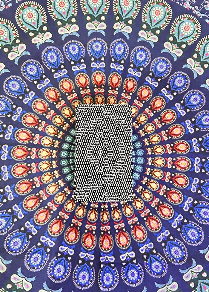 Vahşi Tarot Destesi | Wild Tarot Deck - Görsel 2