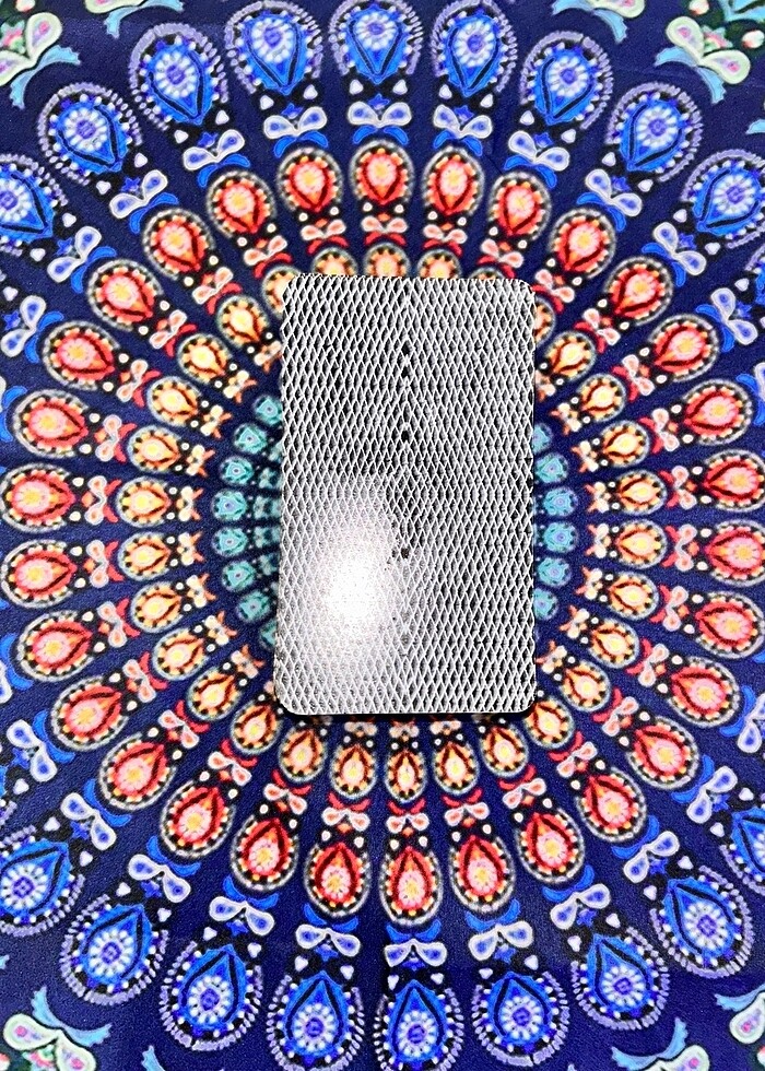 Vahşi Tarot Destesi | Wild Tarot Deck - Görsel 3