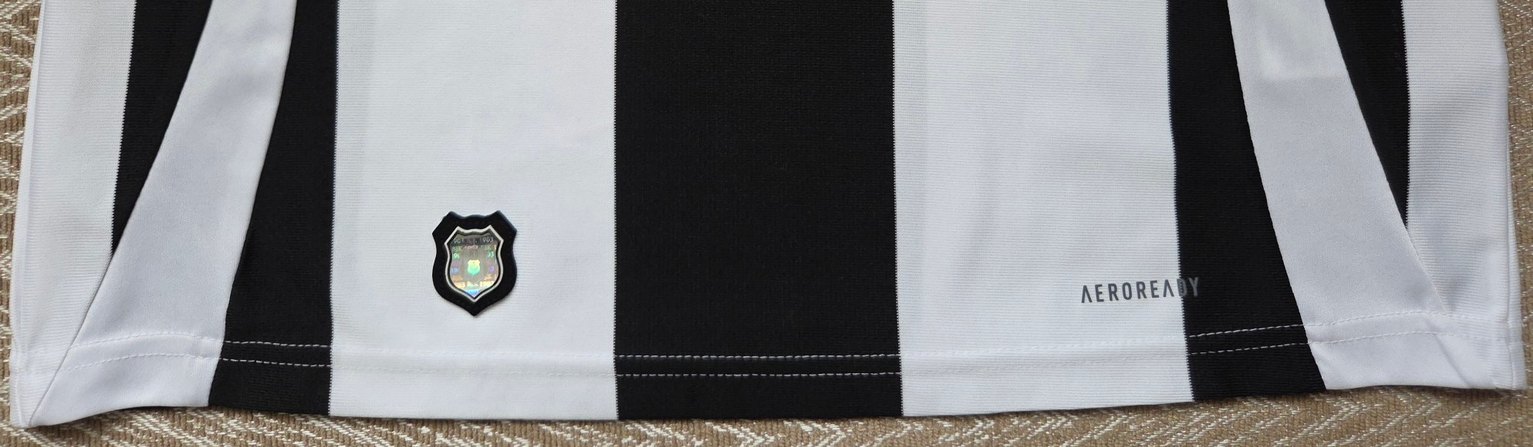 Beşiktaş 2024/25 Alternatif Forması - Görsel 4