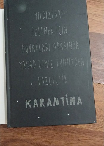 Beden Renk Beyza Alkoç - Karantina Romanı