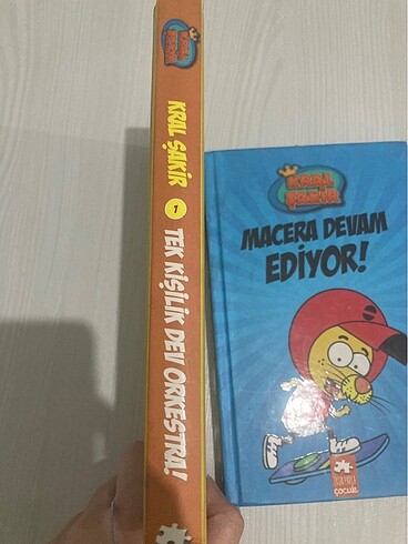 Kral şakir çocuk kitabı