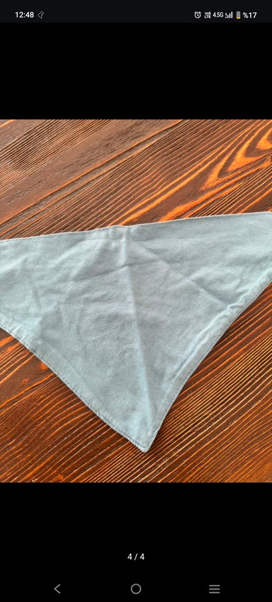 Baskılı Gri Bere ve Renkli Üçgen yakalık Seti - Görsel 4