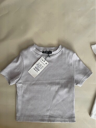 bershka crop